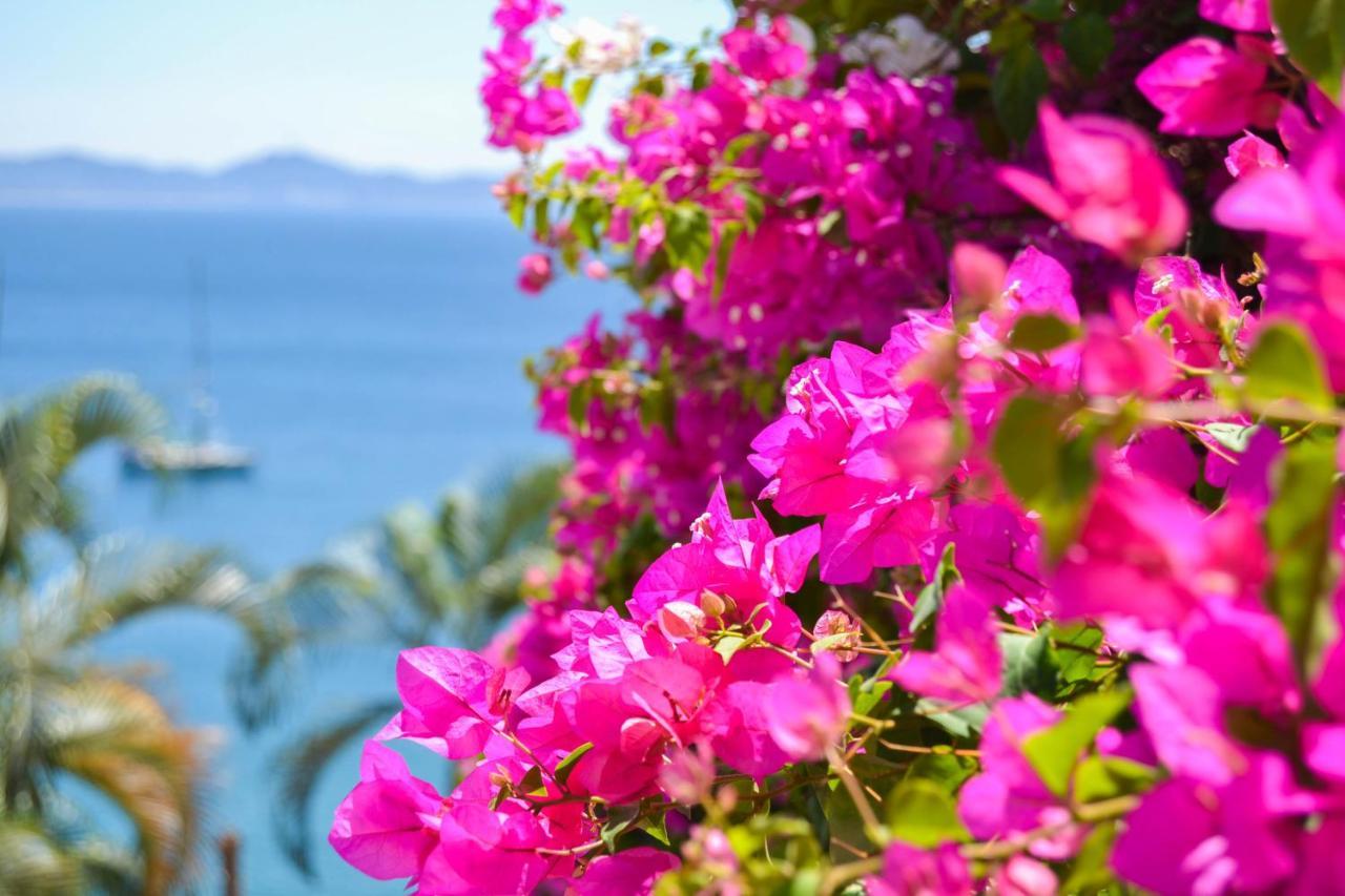 Playasol Las Hadas มานซานิโญ ภายนอก รูปภาพ